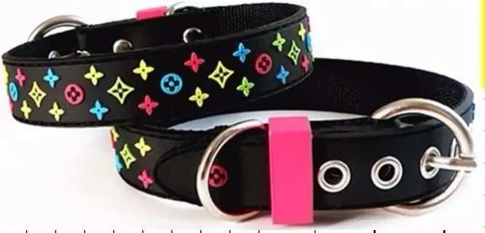 Trendy Pet Collar & Lead | Fashionsarah.com