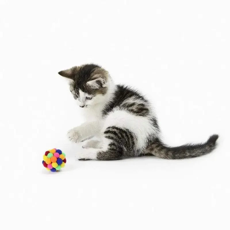 Bouncy Ball Cat Toy | Fashionsarah.com