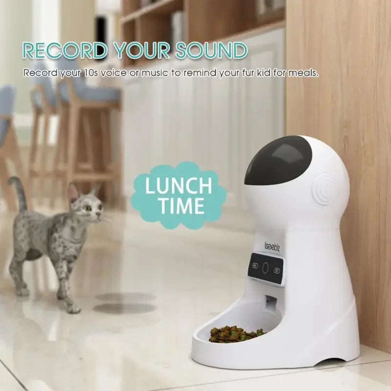 Automatic Feeder Dispensers | Fashionsarah.com