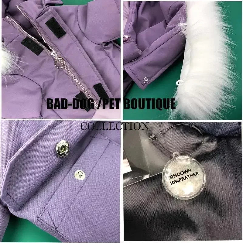 Warm Pet Apparel | Fashionsarah.com