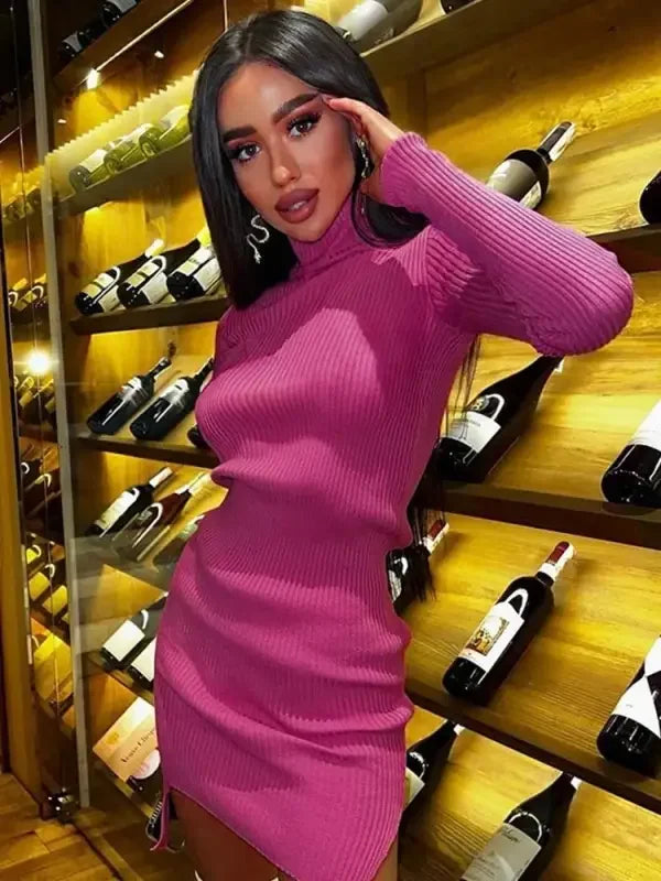 Knitted Turtleneck Bodycon Dresses | Fashionsarah.com