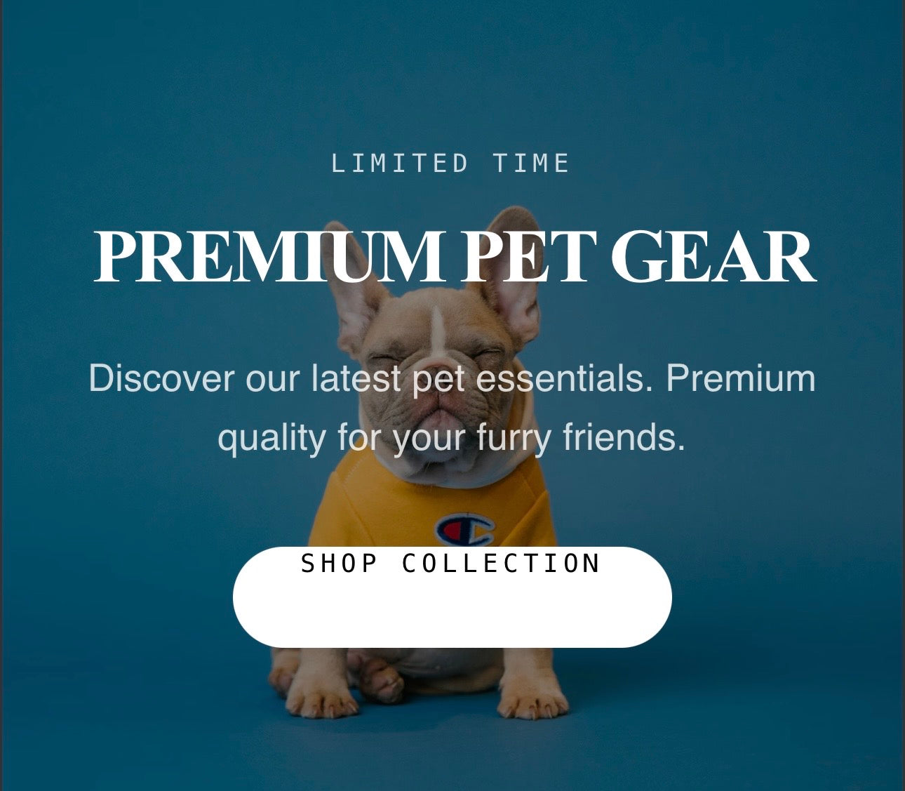 Pet Toys Eshop - Fashionsarah.com