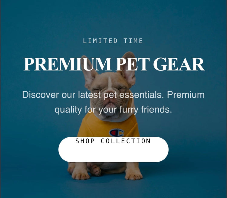 Pet Toys Eshop - Fashionsarah.com