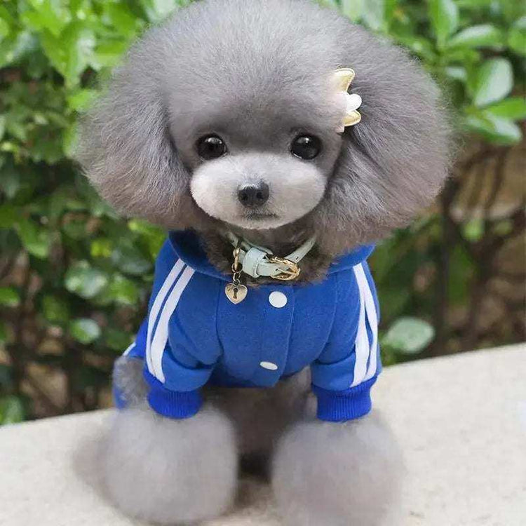 Pets Toys Eshop - Fashionsarah.com