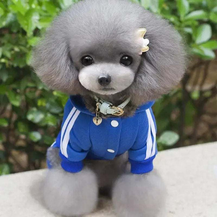 Pets Toys Eshop - Fashionsarah.com