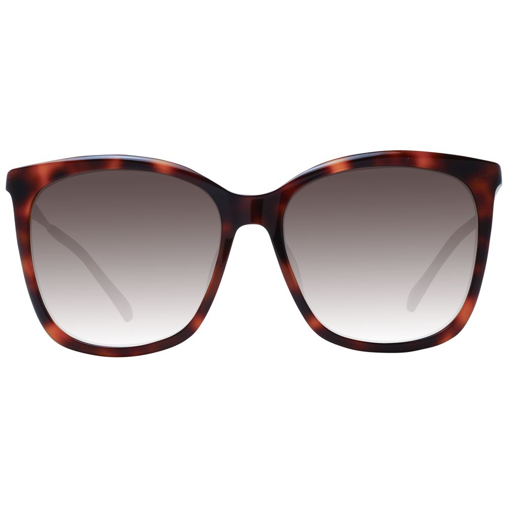 Jimmy Choo Brown Women Sunglasses | Fashionsarah.com