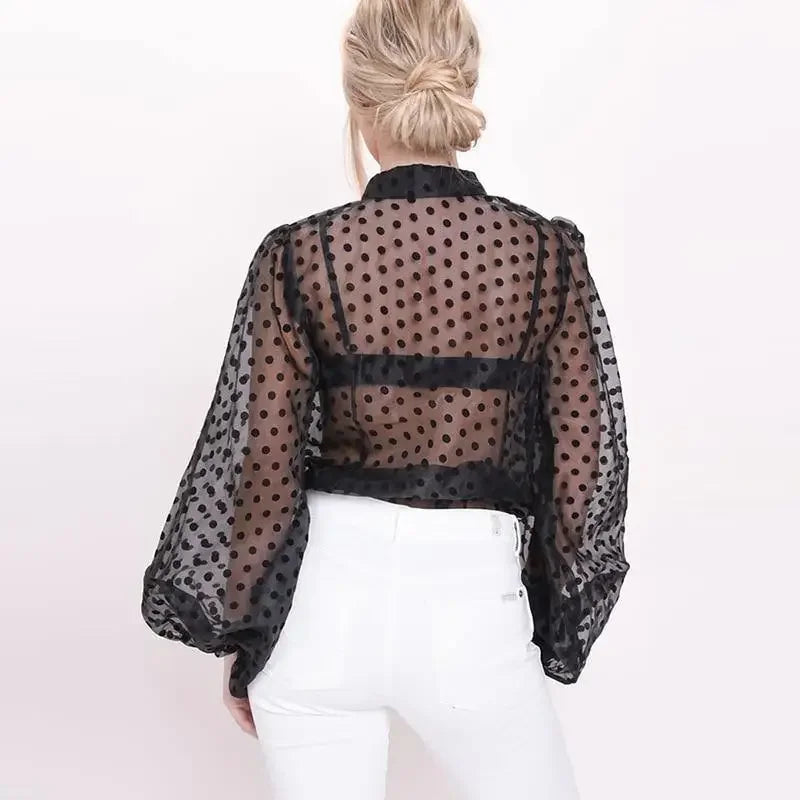 Polka Dot Mesh T-Shirt | Fashionsarah.com