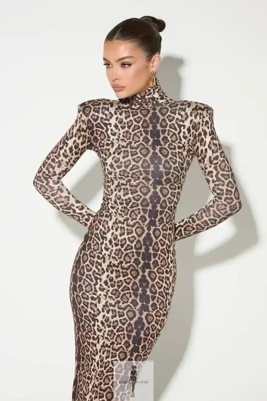 Fashionsarah.com Fashionsarah.com Leopard Print Bodycon Maxi Dress