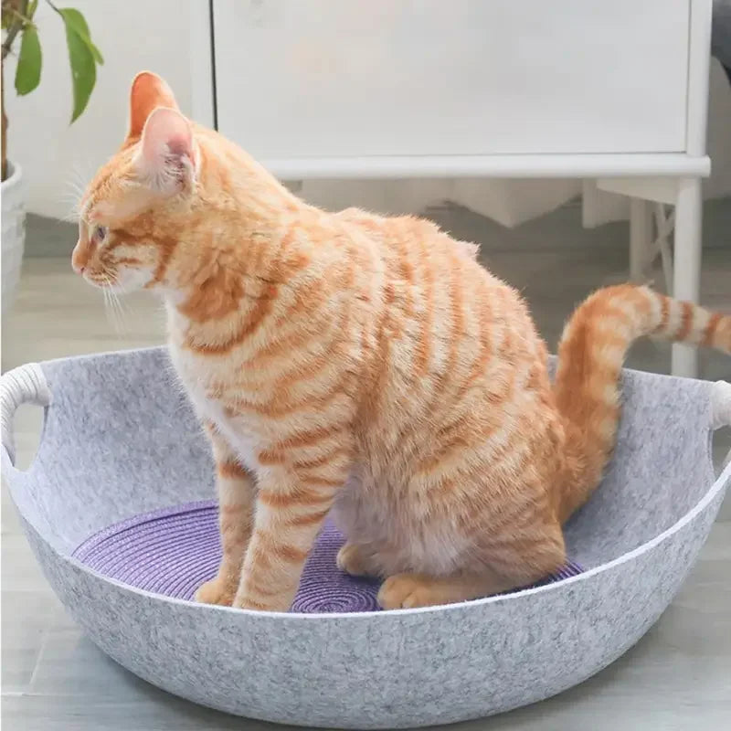Lounge Bed Bowl Pot Pet | Fashionsarah.com