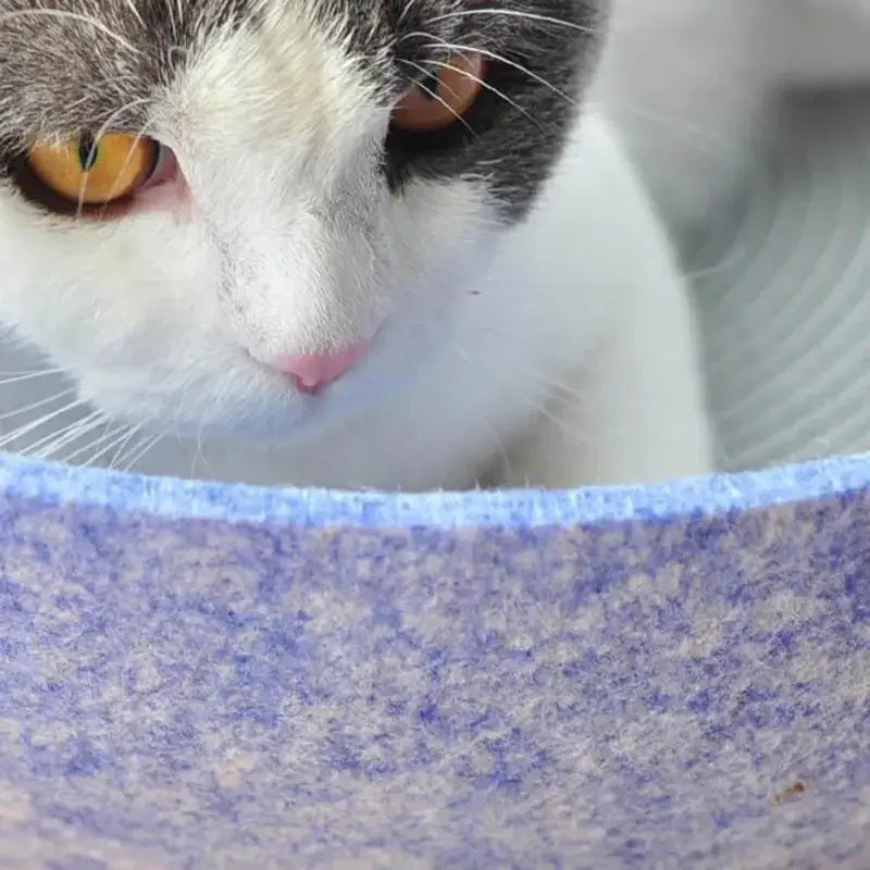 Lounge Bed Bowl Pot Pet | Fashionsarah.com