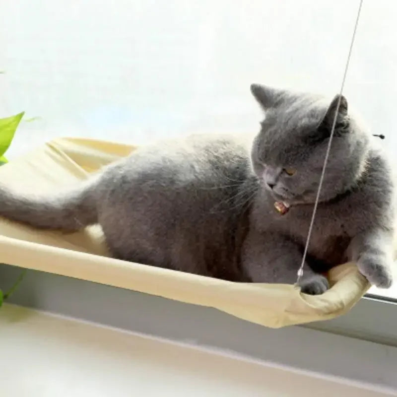 Cat Hammock 20KG | Fashionsarah.com