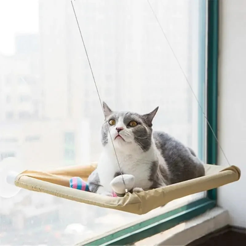 Cat Hammock 20KG | Fashionsarah.com