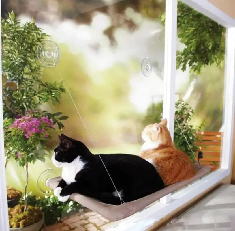 Cat Hammock 20KG | Fashionsarah.com