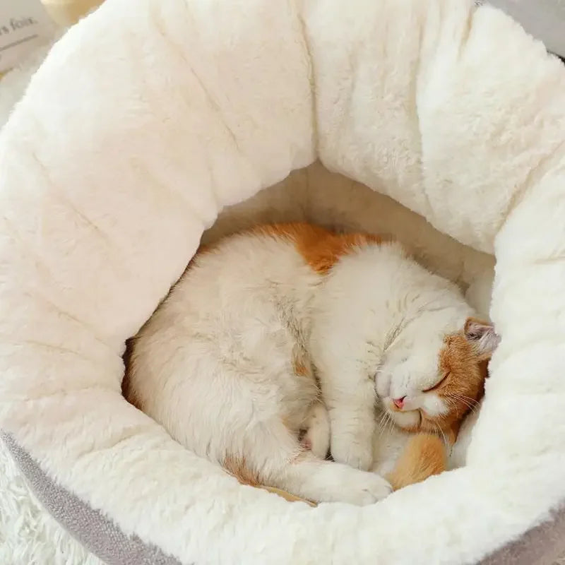 Soft Comfortable Beds | Fashionsarah.com