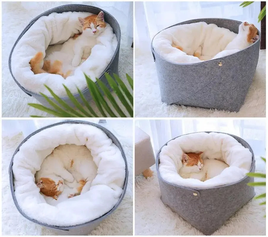 Soft Comfortable Beds | Fashionsarah.com