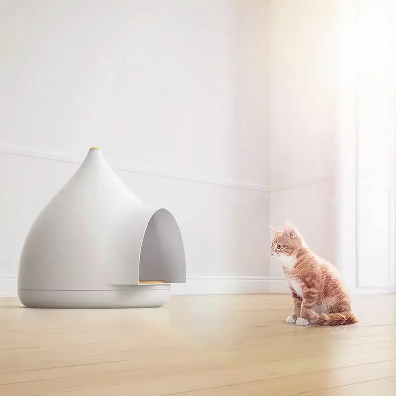 4 seasons teddy puppy home - Fashionsarah.com