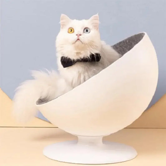 Rotating Cushion Cat Bed | Fashionsarah.com