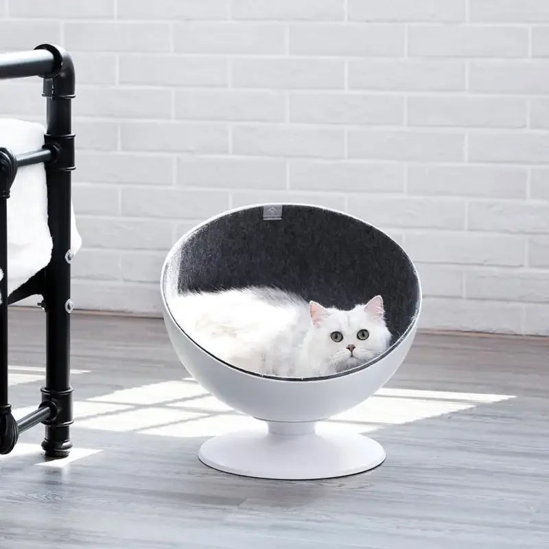 Rotating Cushion Cat Bed | Fashionsarah.com