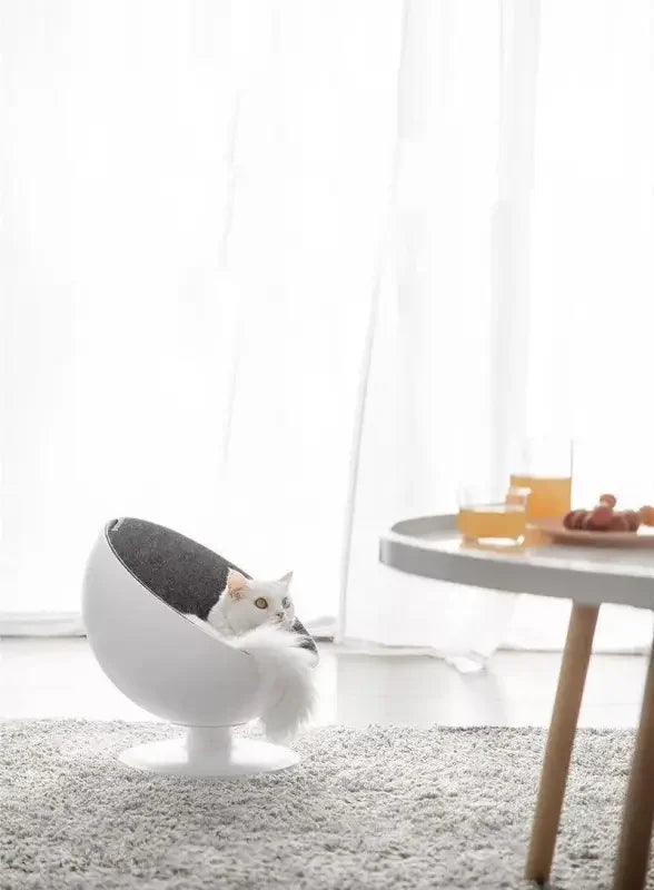 Rotating Cushion Cat Bed | Fashionsarah.com