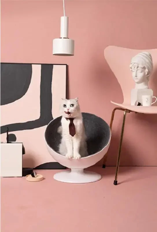 Rotating Cushion Cat Bed | Fashionsarah.com