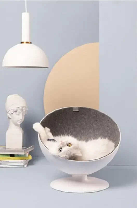 Rotating Cushion Cat Bed | Fashionsarah.com