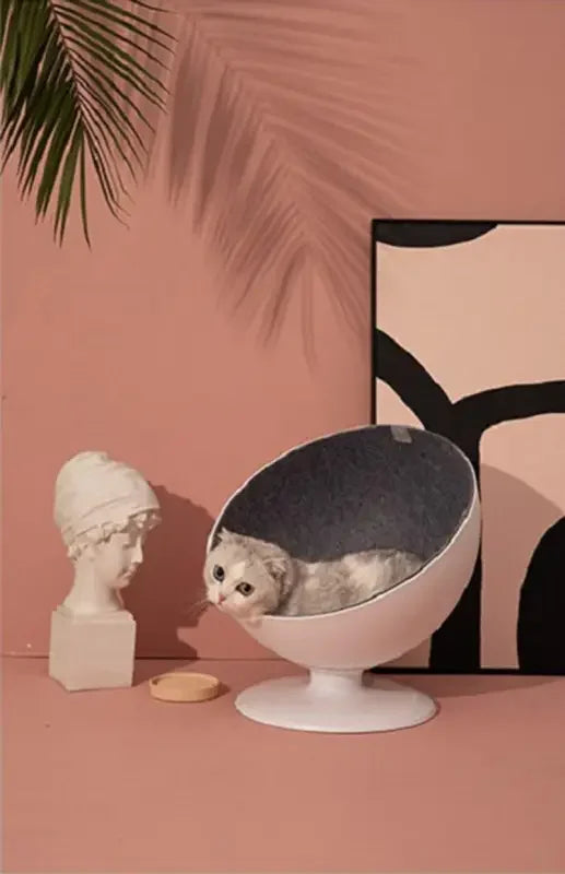 Rotating Cushion Cat Bed | Fashionsarah.com