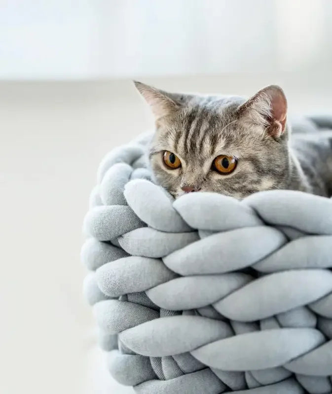 Soft Warm Mat | Fashionsarah.com