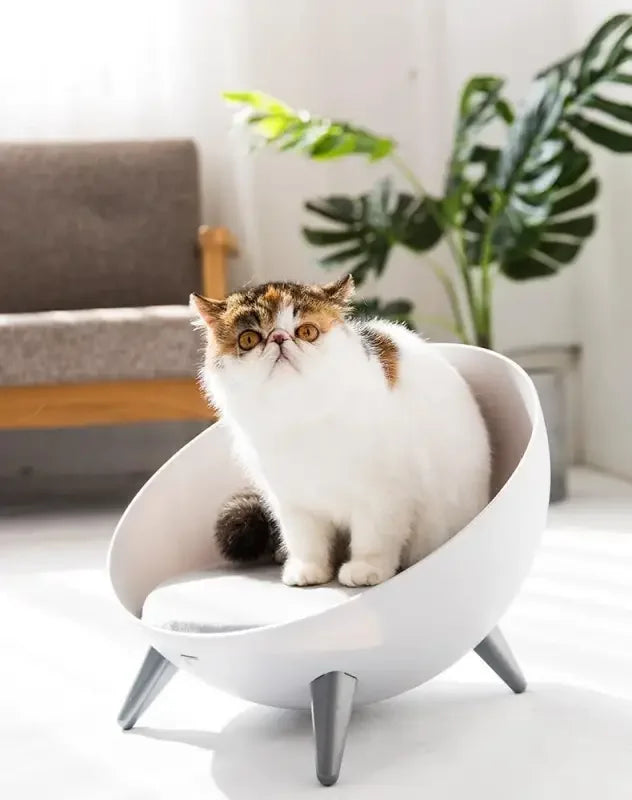 Hemisphere Pet Bed | Fashionsarah.com