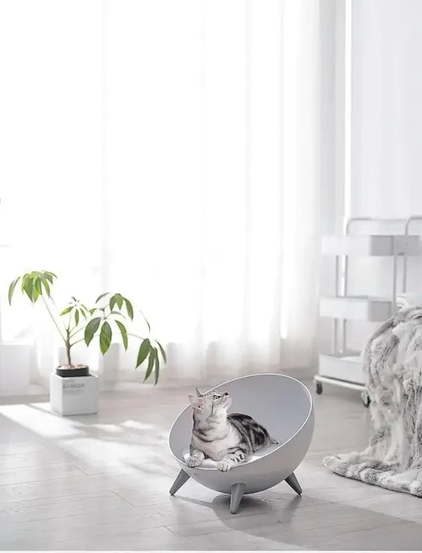 Hemisphere Pet Bed | Fashionsarah.com