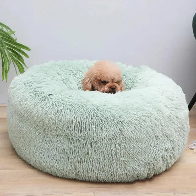 Soft Plush Beds | Fashionsarah.com