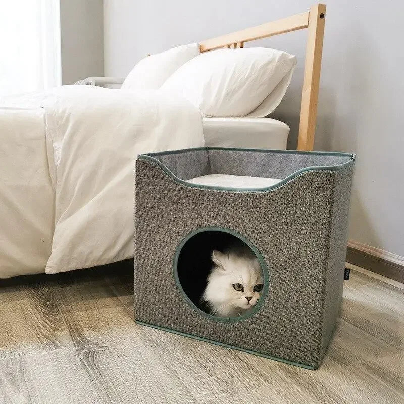 Cat summer sleep 4seasons | Fashionsarah.com