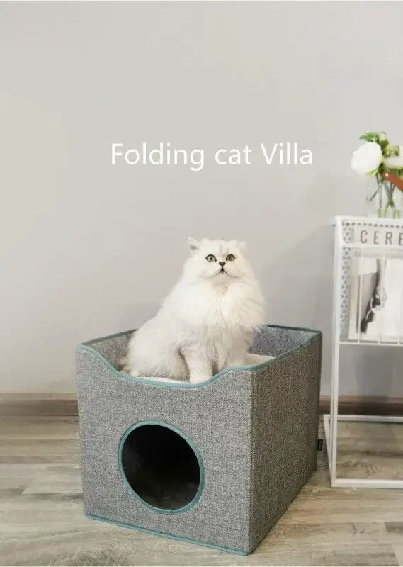 Cat summer sleep 4seasons | Fashionsarah.com