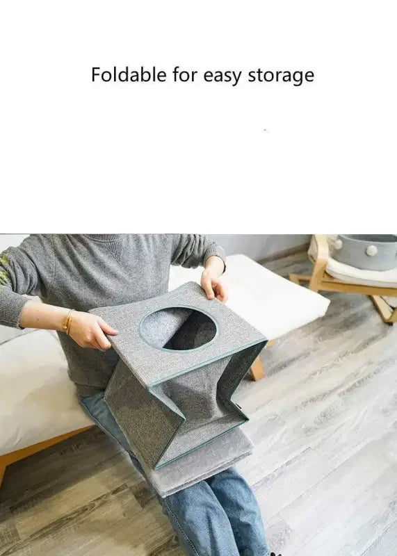 Cat summer sleep 4seasons | Fashionsarah.com