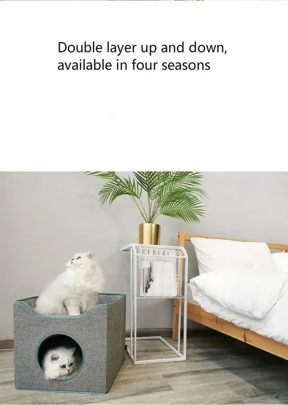 Cat summer sleep 4seasons | Fashionsarah.com