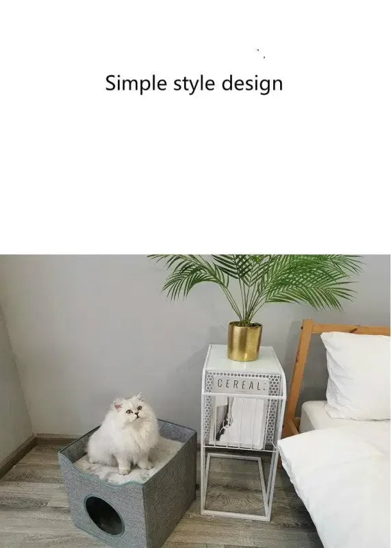 Cat summer sleep 4seasons | Fashionsarah.com