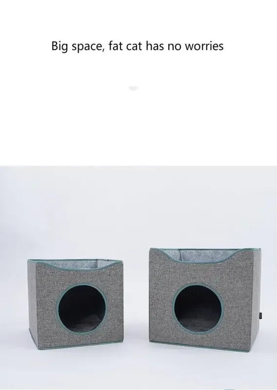 Cat summer sleep 4seasons | Fashionsarah.com