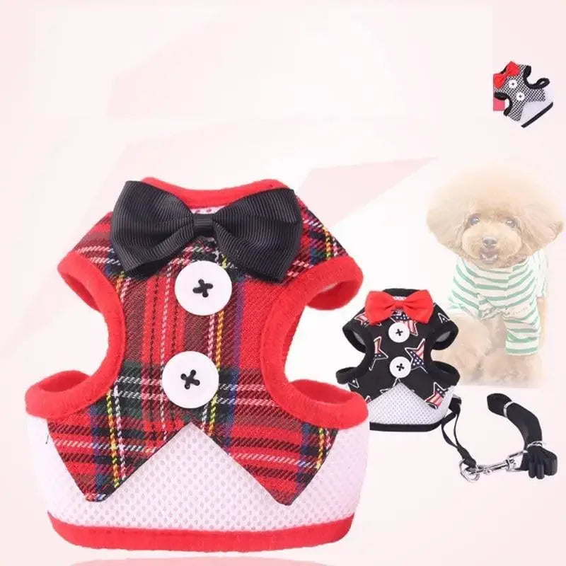 Pet Bow Tie Outfit | Fashionsarah.com