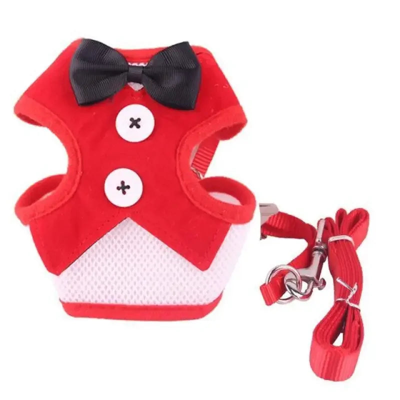 Pet Bow Tie Outfit | Fashionsarah.com