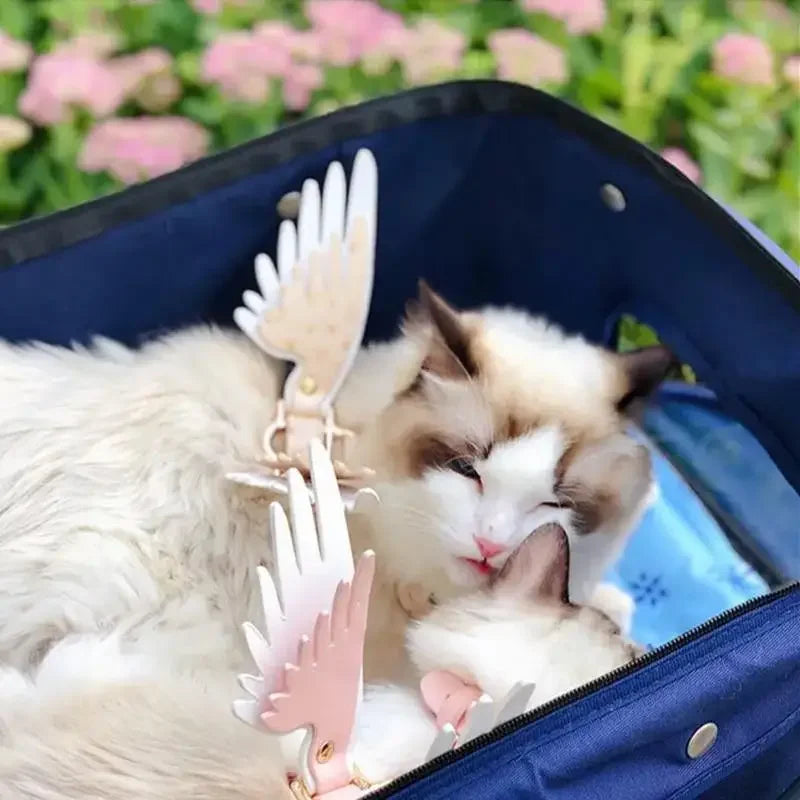 Collar with Angel Wings | Fashionsarah.com