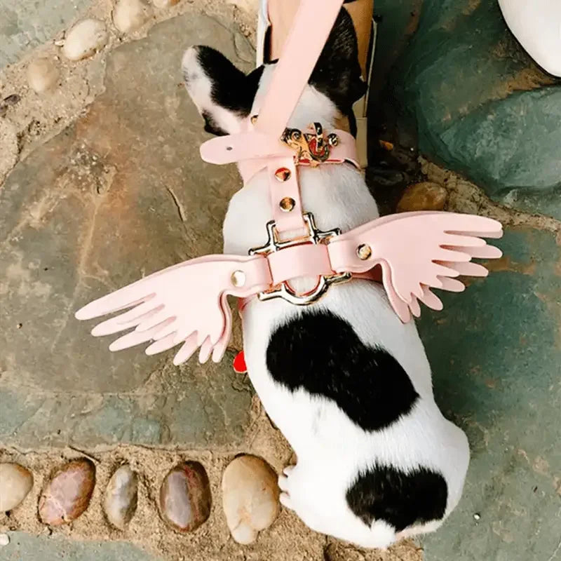 Collar with Angel Wings | Fashionsarah.com