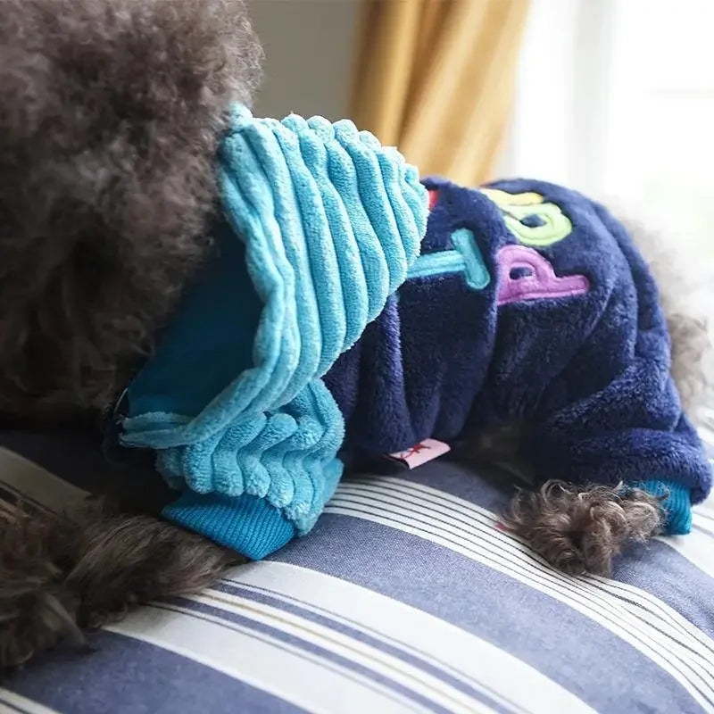 Pet Winter Clothes | Fashionsarah.com