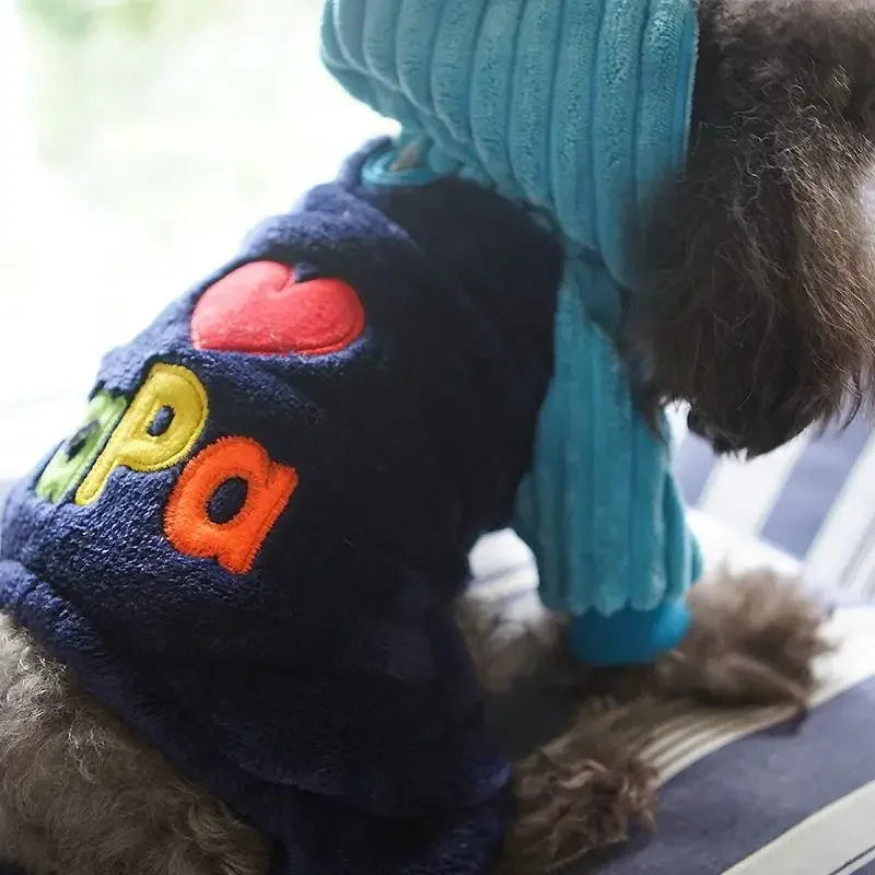 Pet Winter Clothes | Fashionsarah.com