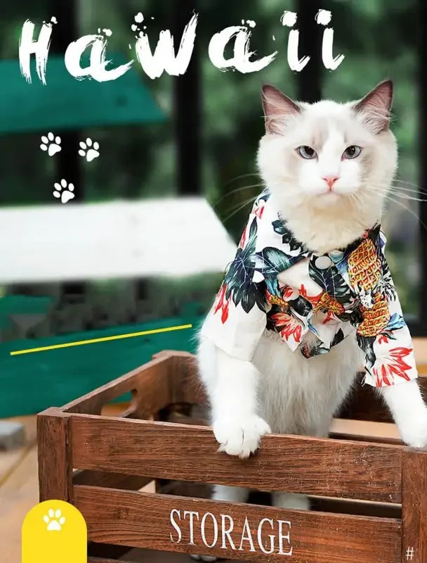 Hawaii Summer T-shirts | Fashionsarah.com