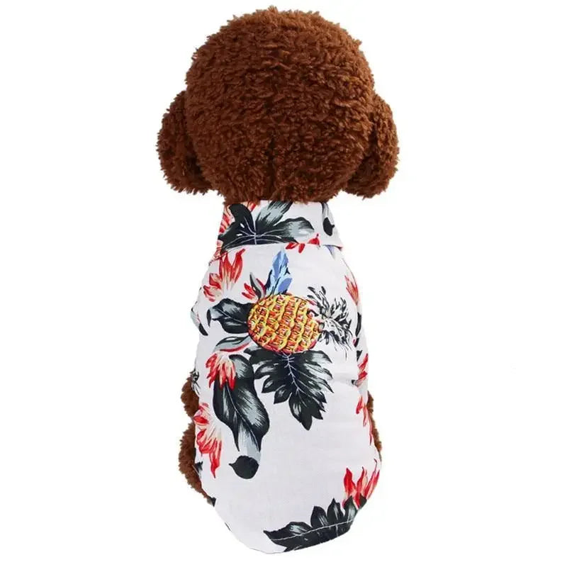 Hawaii Summer T-shirts | Fashionsarah.com