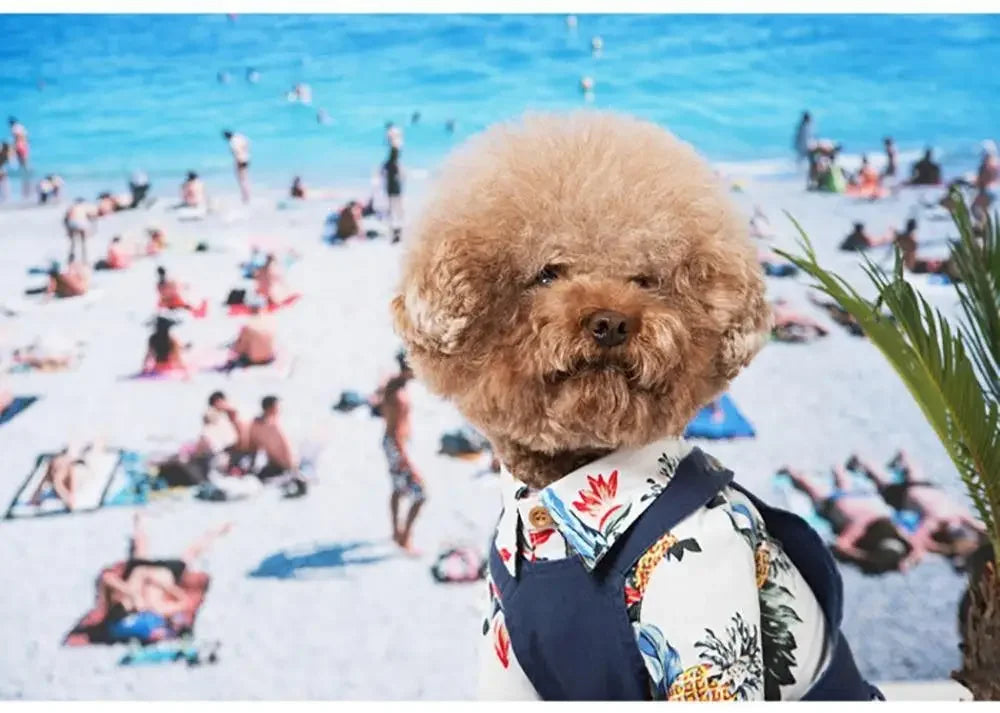 Hawaii Summer T-shirts | Fashionsarah.com