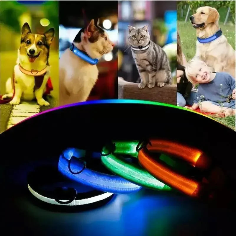 Luminous Safety Collars | Fashionsarah.com
