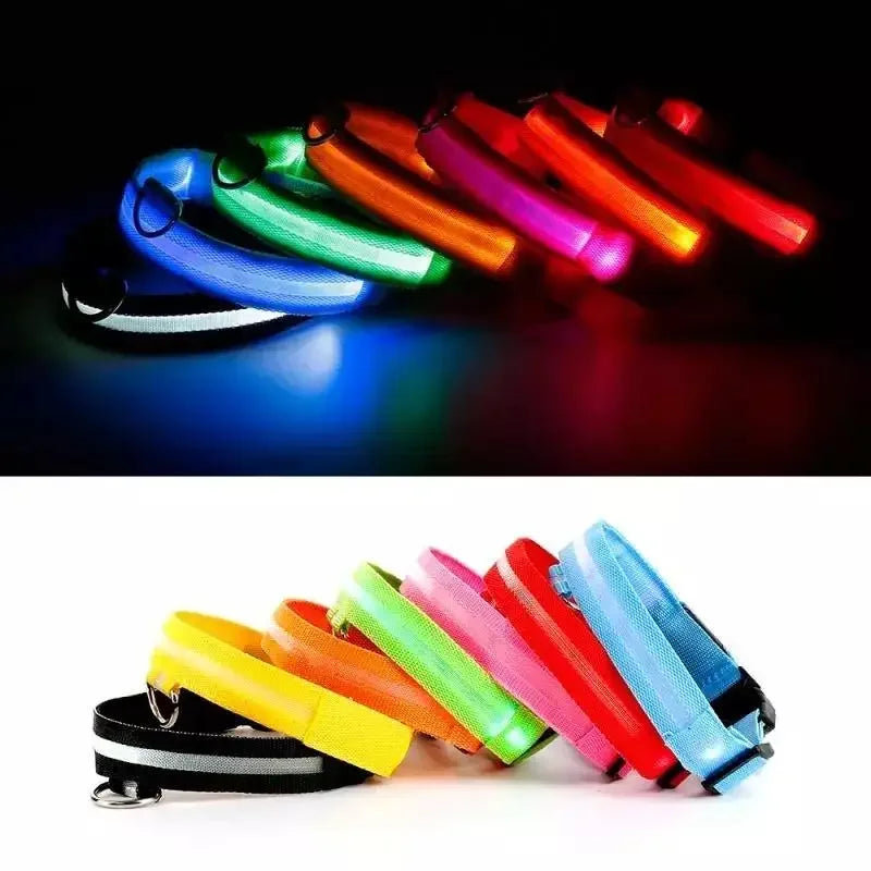 Luminous Safety Collars | Fashionsarah.com