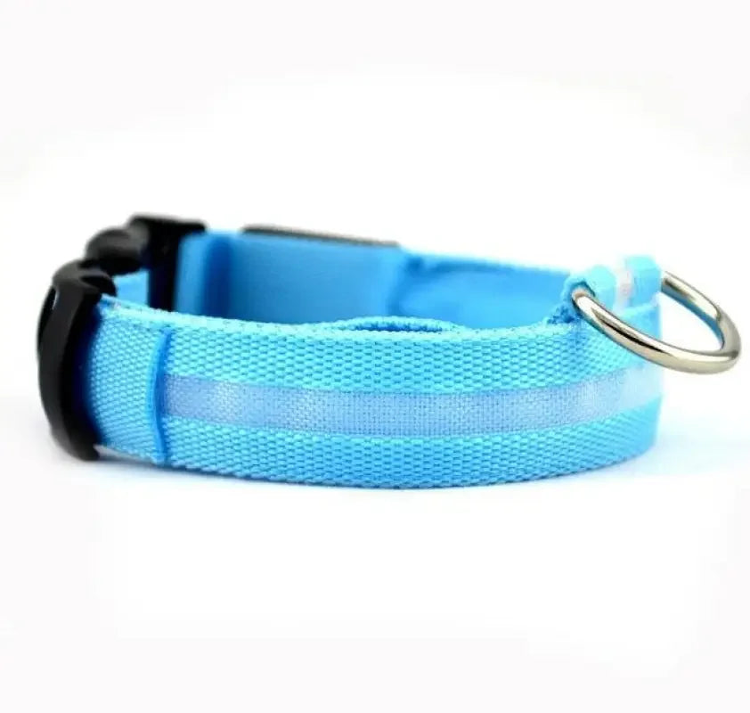 Luminous Safety Collars | Fashionsarah.com