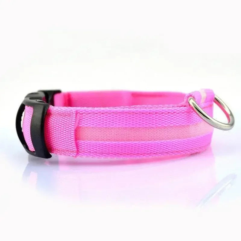 Luminous Safety Collars | Fashionsarah.com