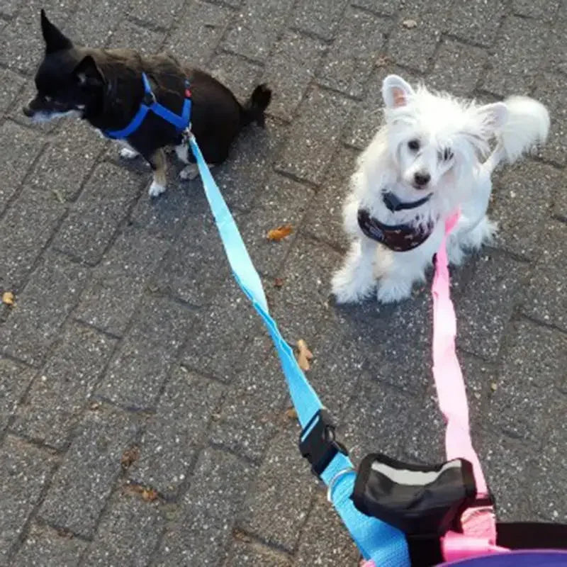 Adjustable Waist Accessories - Fashionsarah.com